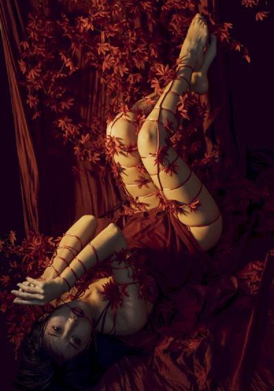光之美少女第一季