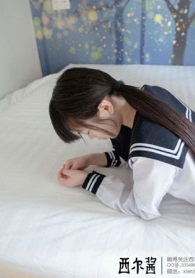 绝密飞行
