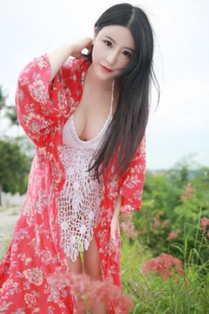 血与骨在线观看高清完整版